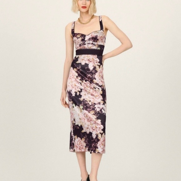 Reformation Dresses & Skirts - 🤩💕 Sz8 Reformation The Collection Silk Pink on Black floral dress